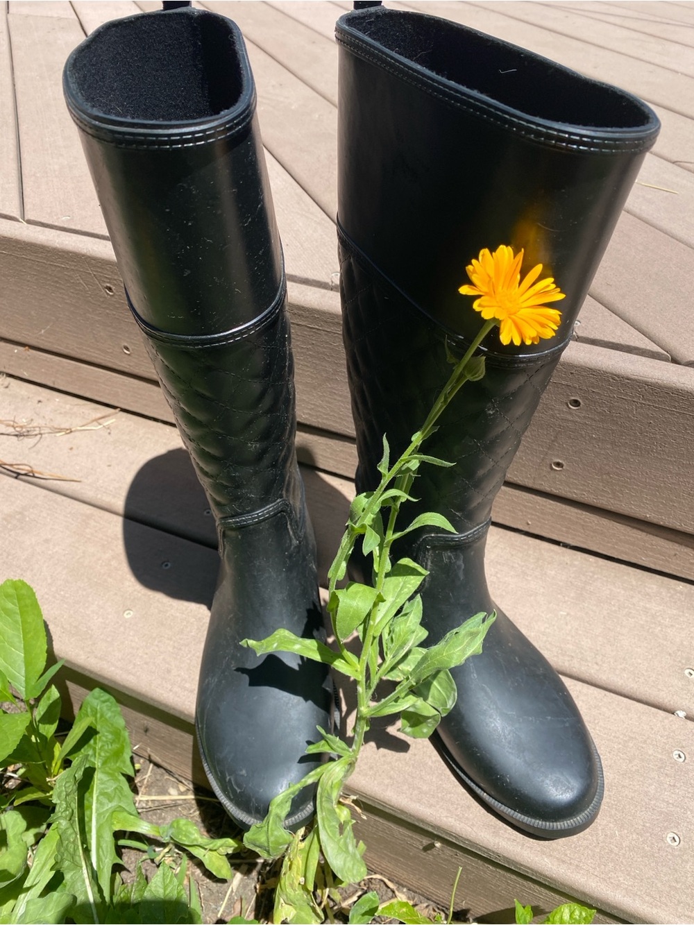 Black Quilted Tall Rain / Garden Boots